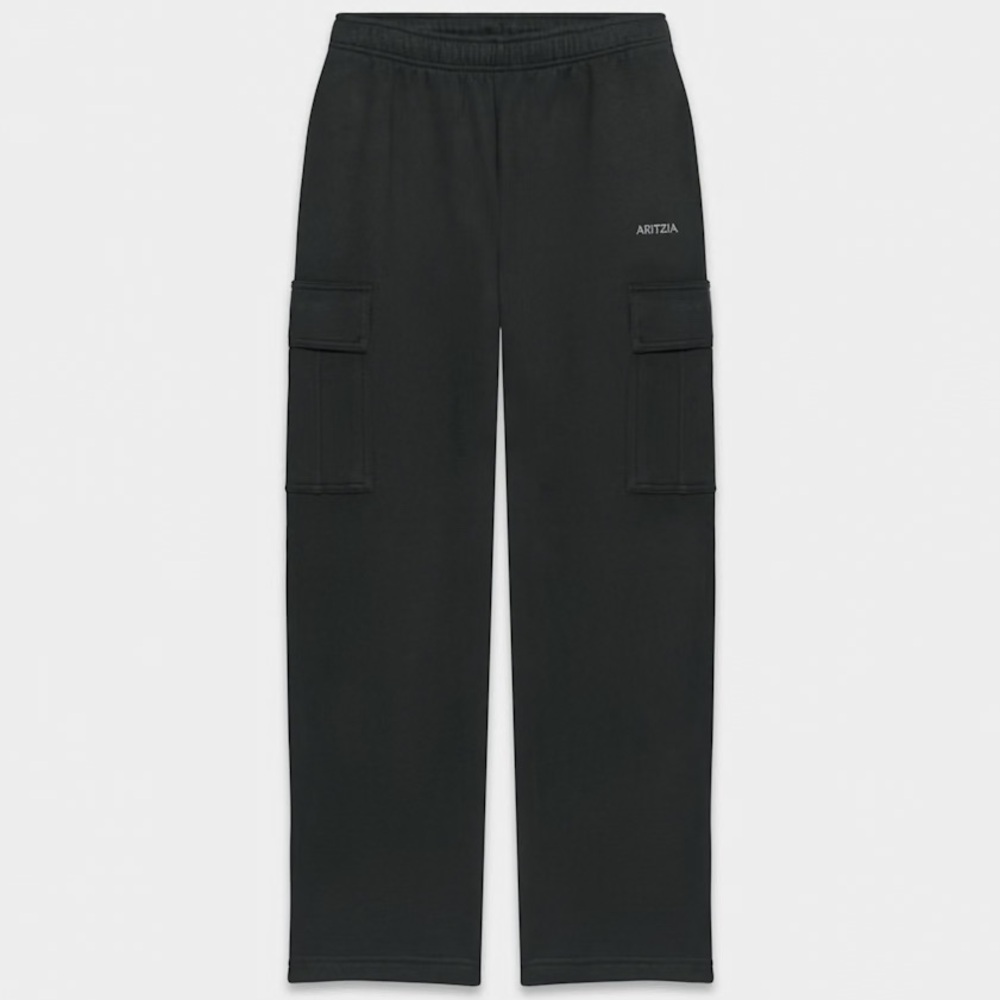 Aritzia Dark Gray Cargo Joggers